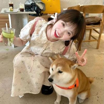 鸡肉派对