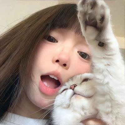 盗墓迷踪